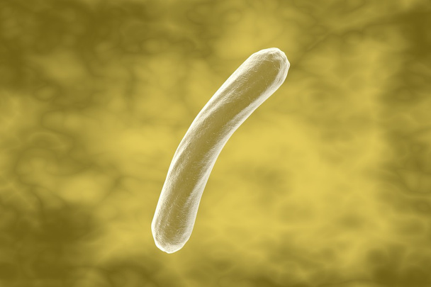 Mycobacterium φυματίωση - Φωτογραφία, εικόνα