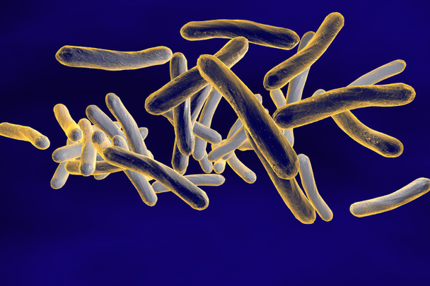 Mycobacterium tuberculosis - Photo, Image