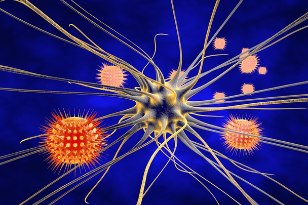 Neuron and viruses, viral encephalitis - Photo, Image