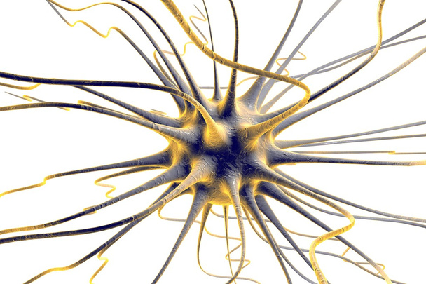 Neuron - Foto, Bild