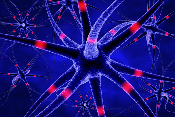 Neuron - Foto, afbeelding