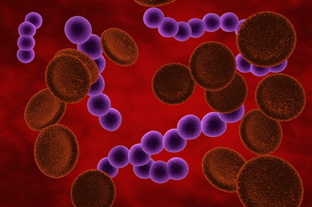 Bacteria Streptococcus - Photo, Image