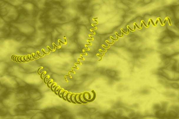 Treponema pallidum - Фото, зображення