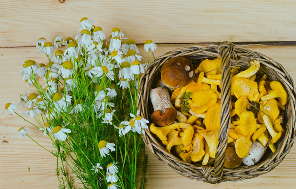 корзина грибов и букет ромашки
 - Фото, изображение