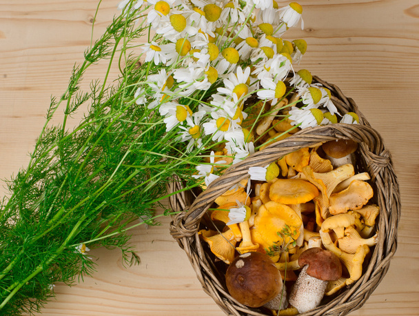 basket of mushrooms and bouquet of camomiles - Photo, Image