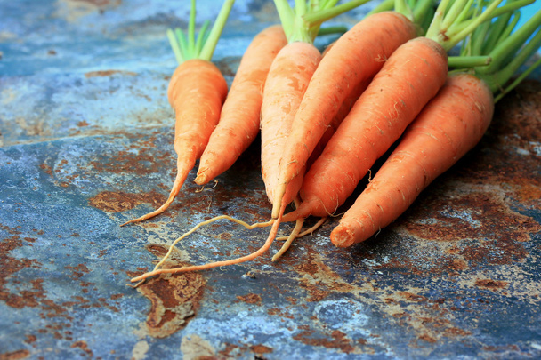 Zanahorias frescas
 - Foto, Imagen