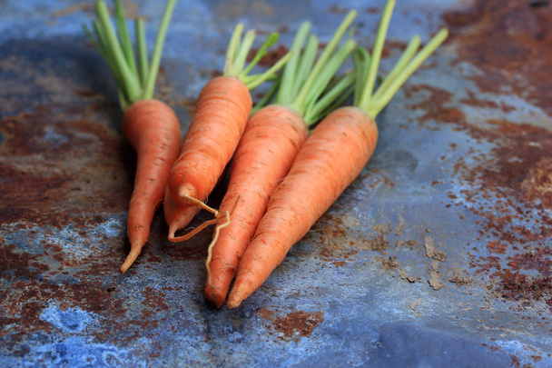 frische Karotten - Foto, Bild