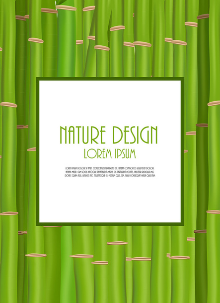 Colorful Stems and Bamboo Leaves Background. Vector Illustration - Vektor, kép
