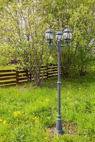 lamppost with three lights in park - Foto, imagen