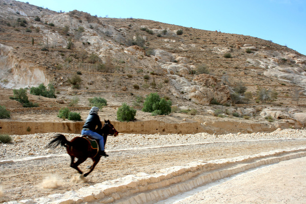 Beduíni na koni v poušti poblíž Jordan Petra - Fotografie, Obrázek
