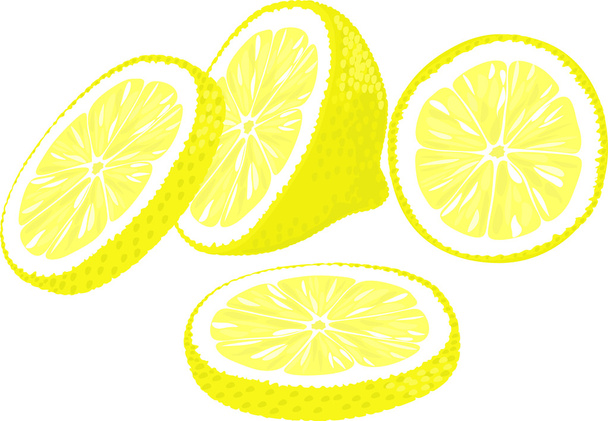 segmenten voor lemon. - Vector, afbeelding