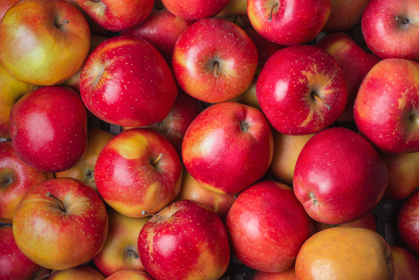 świeże jabłka czerwony dojrzałe - Zdjęcie, obraz
