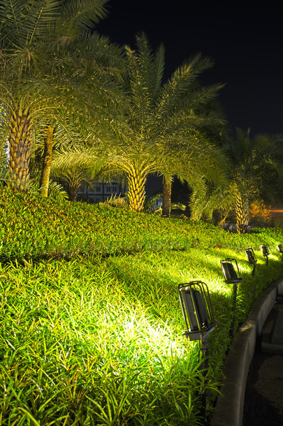 Lampen en tuin nachtbeeld - Foto, afbeelding