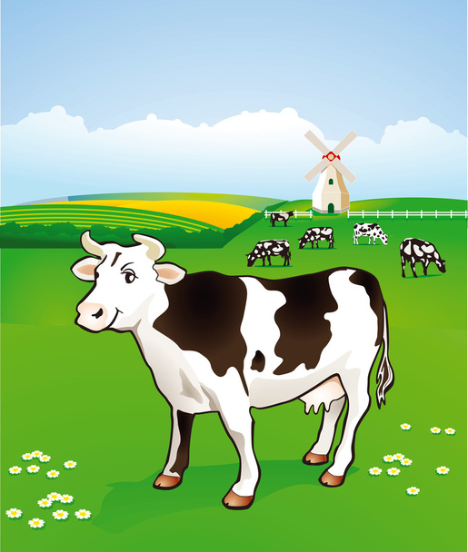 vacca al pascolo - Vettoriali, immagini