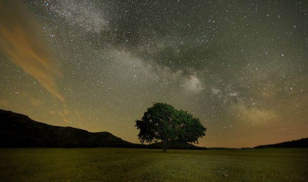Eenzame eik op veld onder Melkweg, Dobrogea, Roemenië - Foto, afbeelding