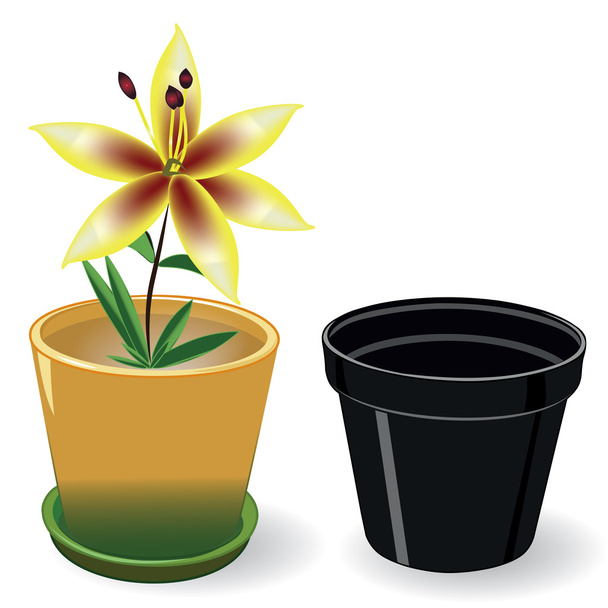 Καλλιέργεια λουλουδιών σε ένα δοχείο και το μαύρο κενό δοχείο - Διάνυσμα, εικόνα