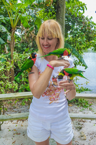 Vrouw voeding van papegaaien - Foto, afbeelding