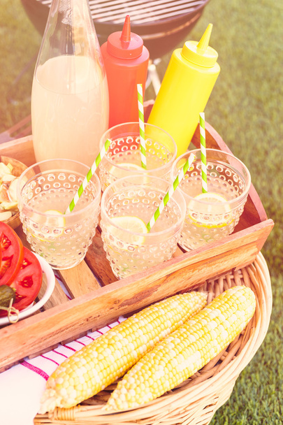 Small summer picnic with lemonade - Photo, Image