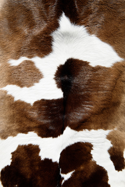 Корова текстуру шкіри
 - Фото, зображення