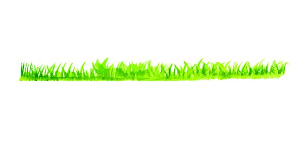 Green grass line - Вектор,изображение