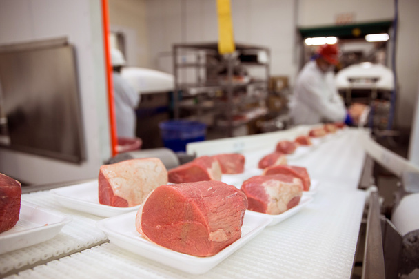 rohes Schweinefleisch in Verpackungsfabrik - Foto, Bild
