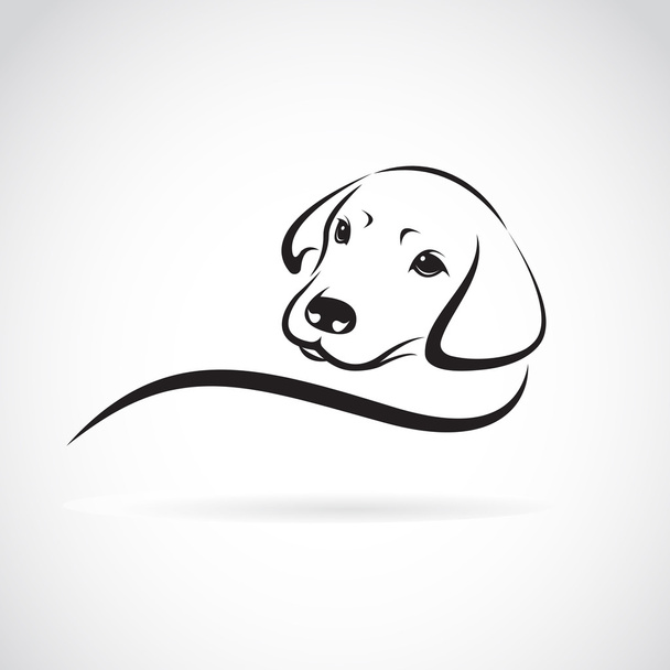 Imagen vectorial de un perro labrador sobre fondo blanco - Vector, imagen
