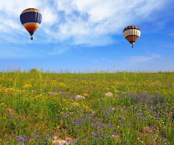 Grandes flores silvestres campo y globos
 - Foto, imagen
