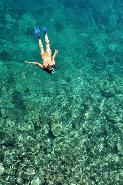 Genç Bayan mercan kayalıkları üzerinde şnorkel  - Fotoğraf, Görsel