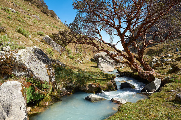 Hegyi patak, a Llaca-völgyben - Fotó, kép