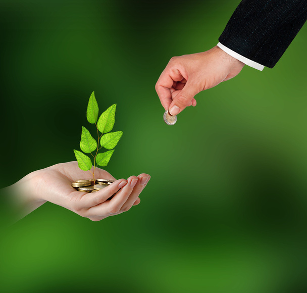 Investitionen in grüne Unternehmen - Foto, Bild