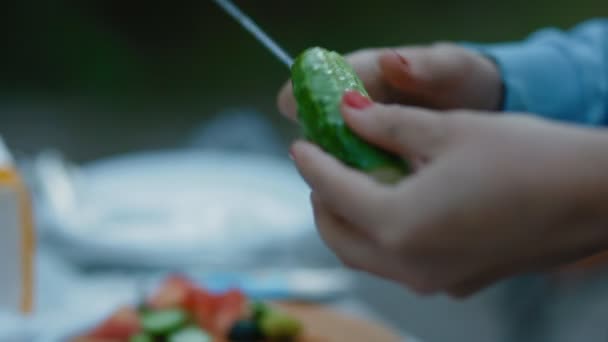 Woman cut  cucumber on the picnic. Outdoor. - Filmati, video