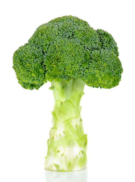 Brócoli fresco aislado sobre fondo blanco
 - Foto, imagen