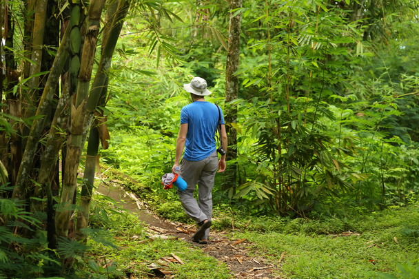 Young men waling through lush rainforest wearing blue shirt, hat - 写真・画像