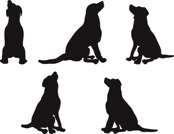 Силуэт для собак - Вектор,изображение