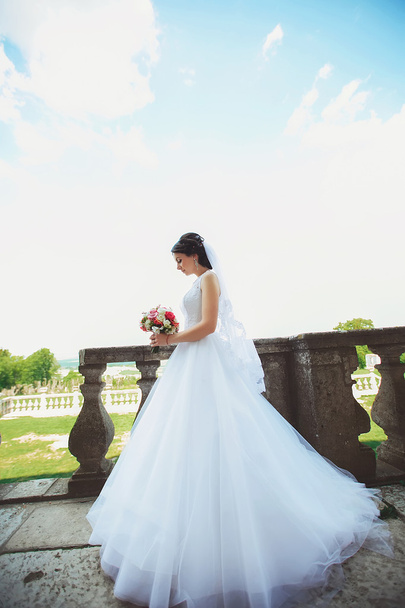 Beautiful elegant bride with   hair posing at the bal - Foto, Imagen