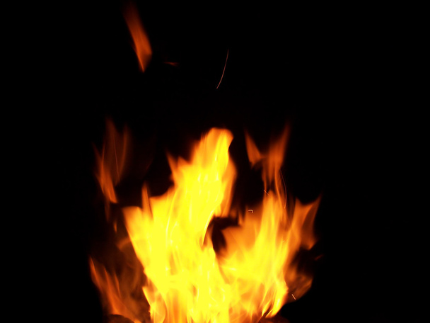 oheň - Fotografie, Obrázek