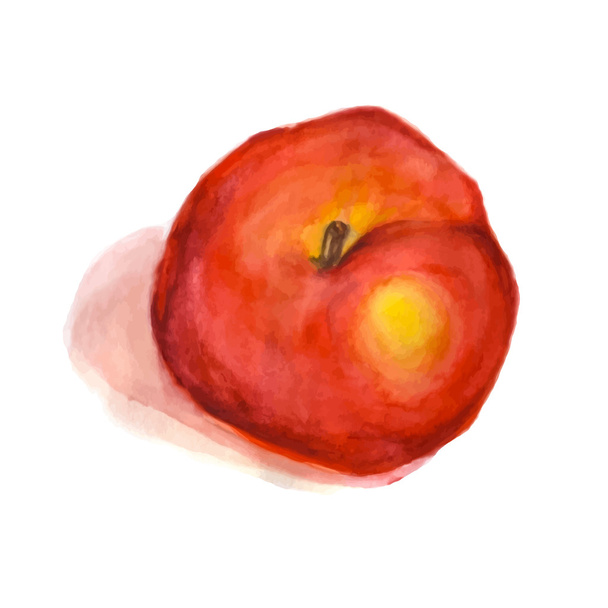ein Aquarell roter Apfel isoliert - Vektor, Bild