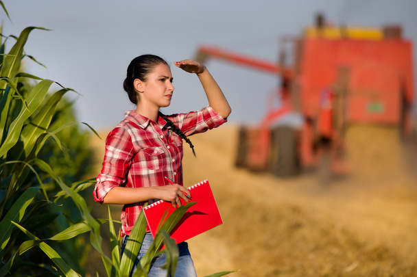 Femme agronome dans le champ de blé
 - Photo, image