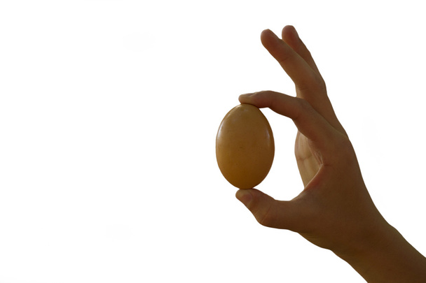 One Egg - Foto, afbeelding