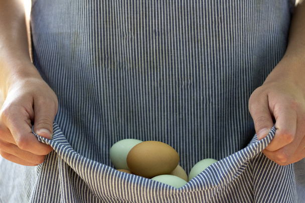 Recoger huevos
 - Foto, imagen
