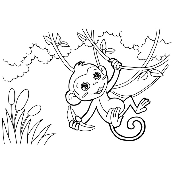 monkey cartoon coloring pages vector - Vector, Image