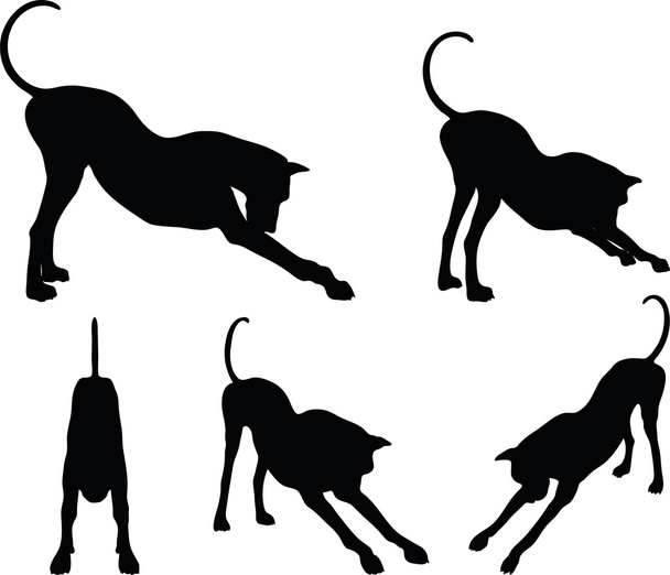  Силуэт собаки в растянутой позе
 - Вектор,изображение