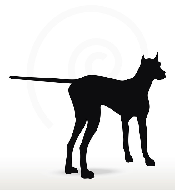 silhouette de chien en pose encore
  - Vecteur, image
