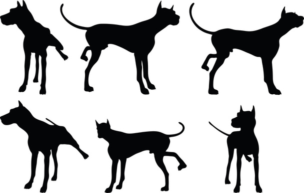silueta de perro en pose levantada pierna
 - Vector, imagen