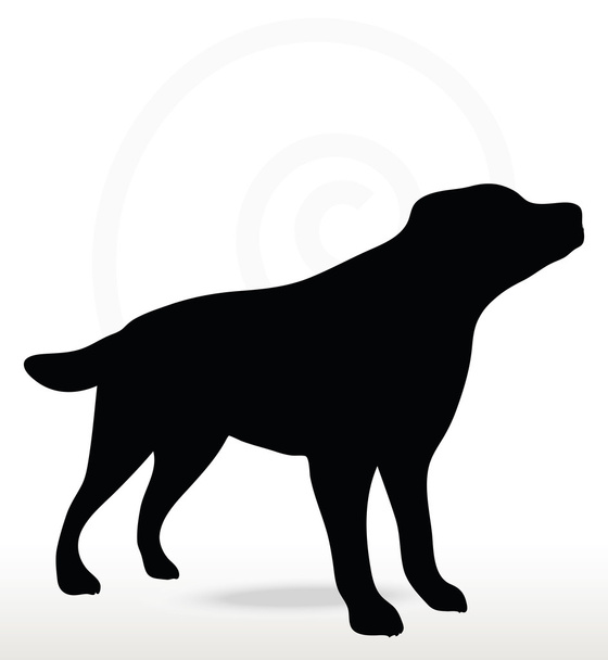 Silhouette pour chien - Vecteur, image