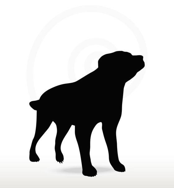 Silueta de perro - Vector, imagen