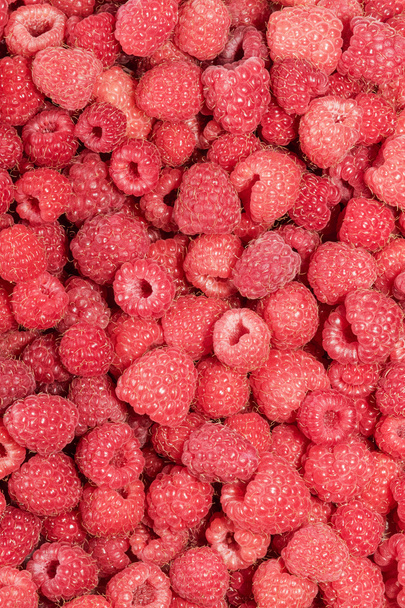 Raspberries background - 写真・画像