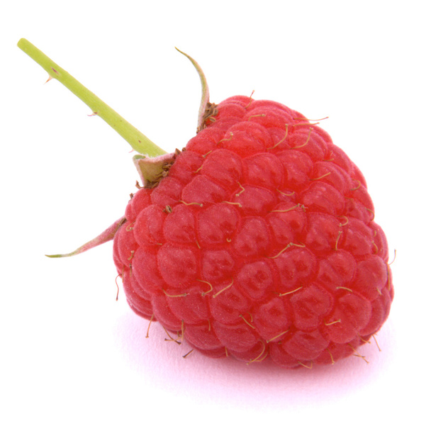 Raspberry fruit wirh stem - Photo, Image