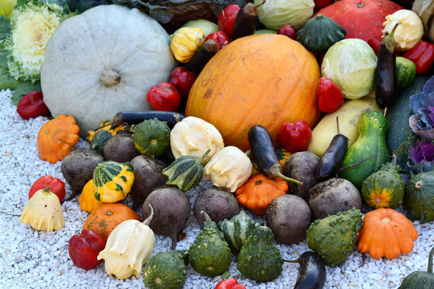 Different autumn vegetables pumpkin, eggplant, zucchini, cauliflower - Fotó, kép