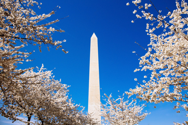 Washington Anıtı - Fotoğraf, Görsel